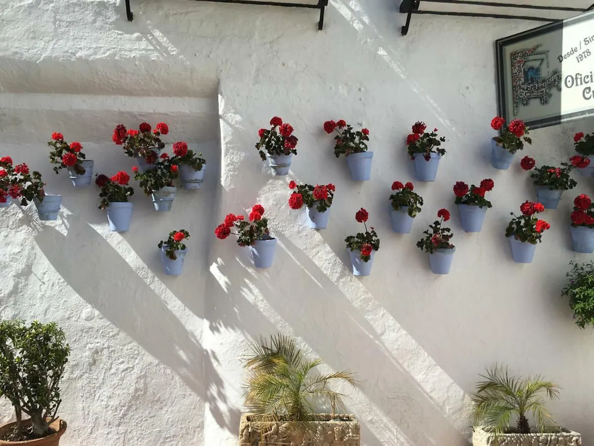 Happy Torremolinos Estudio Apartment Spain